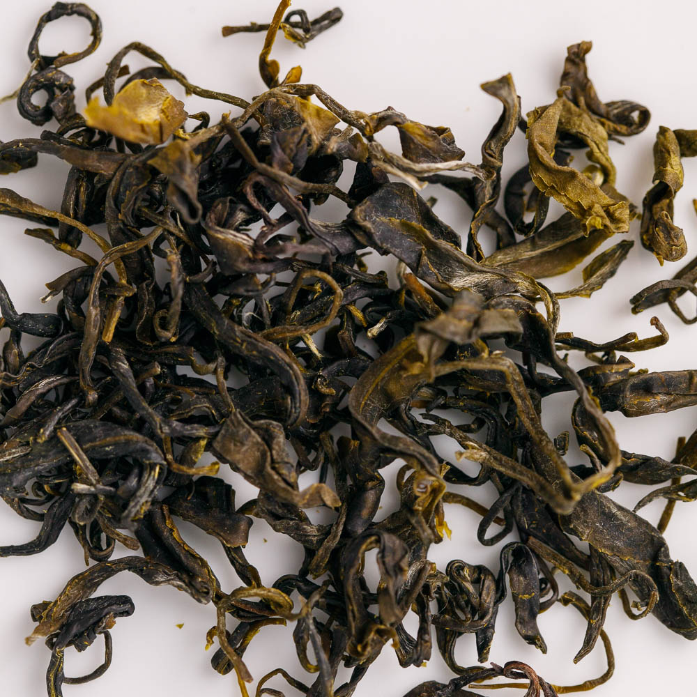 ExperTea First Leaves 2024 Bio – Bild 2