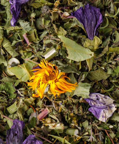 Alternative view of Kräutersegen Durchatmen Bio