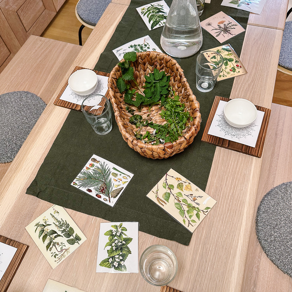 Kräuter-Teeseminar Frühlingserwachen - 03.05.2025 | 16:30 – Bild 2